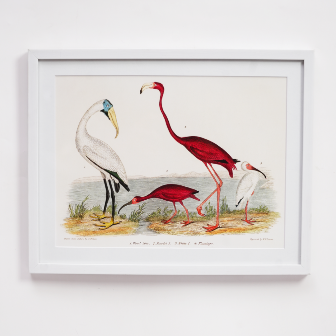 Vintage Flamingoes