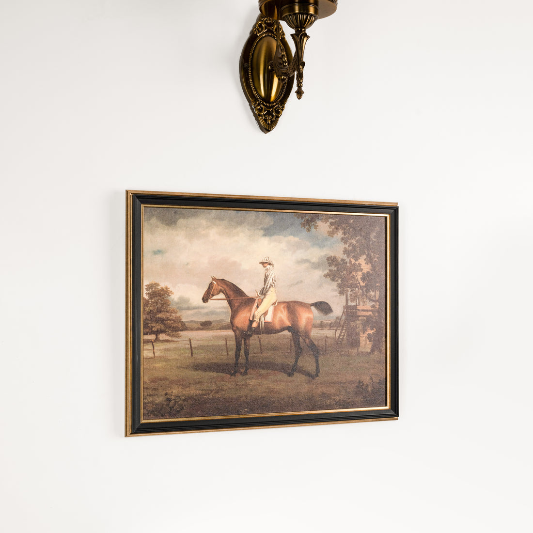 Vintage Portrait Of A Racehorse