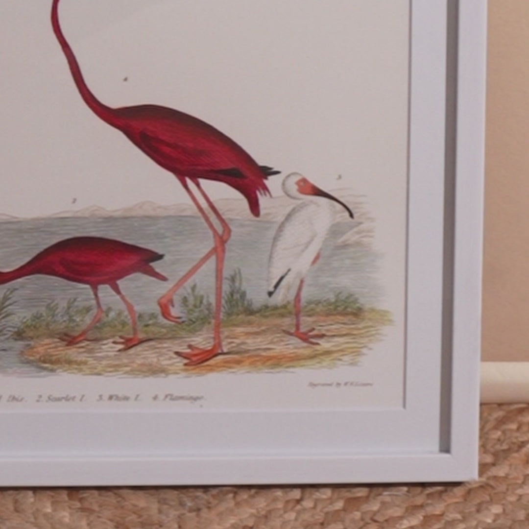 Vintage Flamingoes